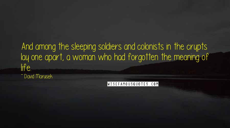 David Marusek Quotes: And among the sleeping soldiers and colonists in the crypts lay one apart, a woman who had forgotten the meaning of life.