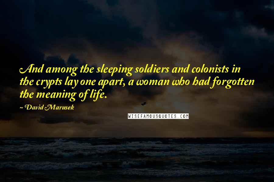 David Marusek Quotes: And among the sleeping soldiers and colonists in the crypts lay one apart, a woman who had forgotten the meaning of life.