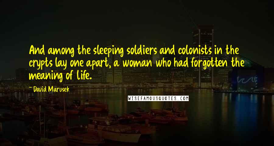 David Marusek Quotes: And among the sleeping soldiers and colonists in the crypts lay one apart, a woman who had forgotten the meaning of life.