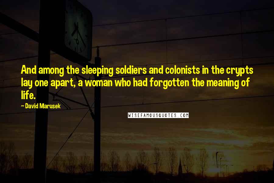 David Marusek Quotes: And among the sleeping soldiers and colonists in the crypts lay one apart, a woman who had forgotten the meaning of life.