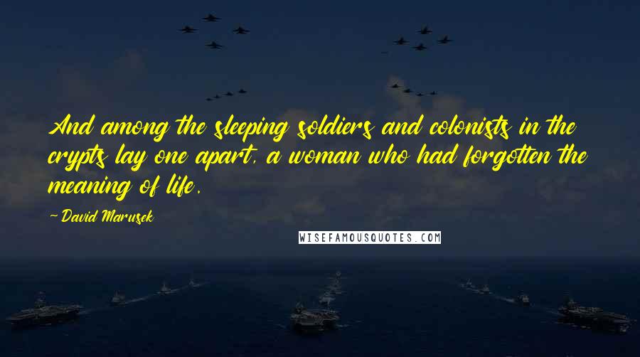 David Marusek Quotes: And among the sleeping soldiers and colonists in the crypts lay one apart, a woman who had forgotten the meaning of life.