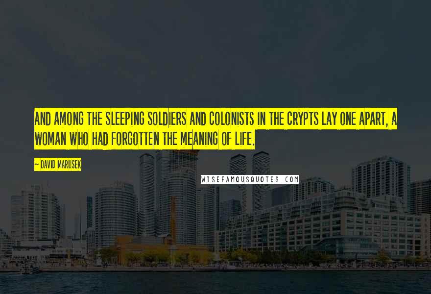 David Marusek Quotes: And among the sleeping soldiers and colonists in the crypts lay one apart, a woman who had forgotten the meaning of life.