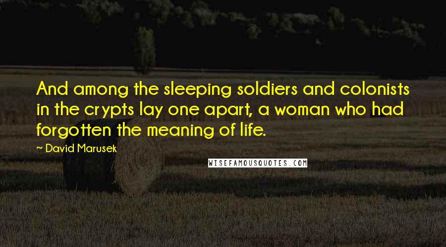 David Marusek Quotes: And among the sleeping soldiers and colonists in the crypts lay one apart, a woman who had forgotten the meaning of life.