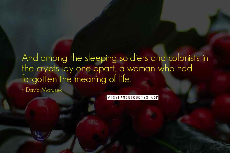 David Marusek Quotes: And among the sleeping soldiers and colonists in the crypts lay one apart, a woman who had forgotten the meaning of life.