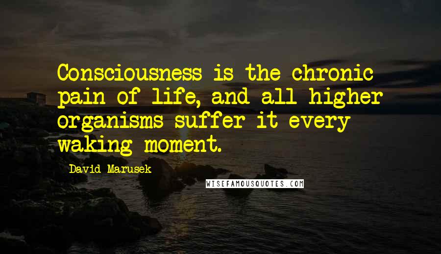 David Marusek Quotes: Consciousness is the chronic pain of life, and all higher organisms suffer it every waking moment.