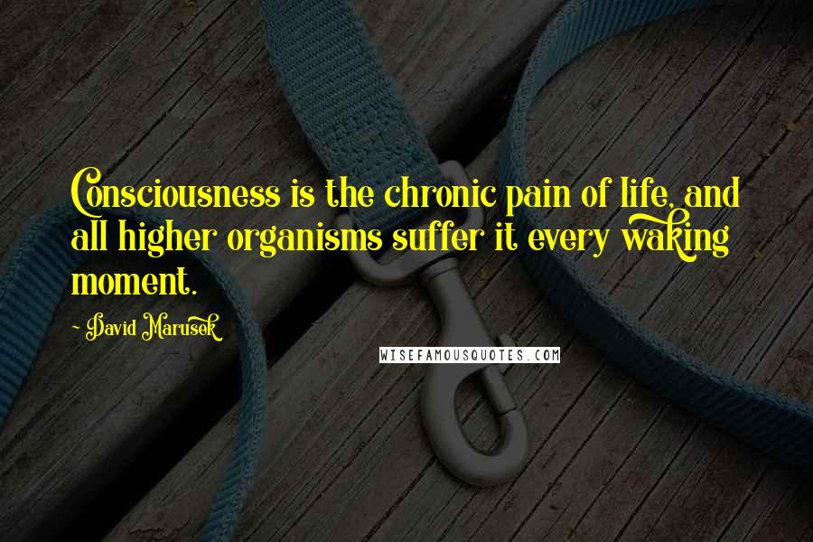 David Marusek Quotes: Consciousness is the chronic pain of life, and all higher organisms suffer it every waking moment.