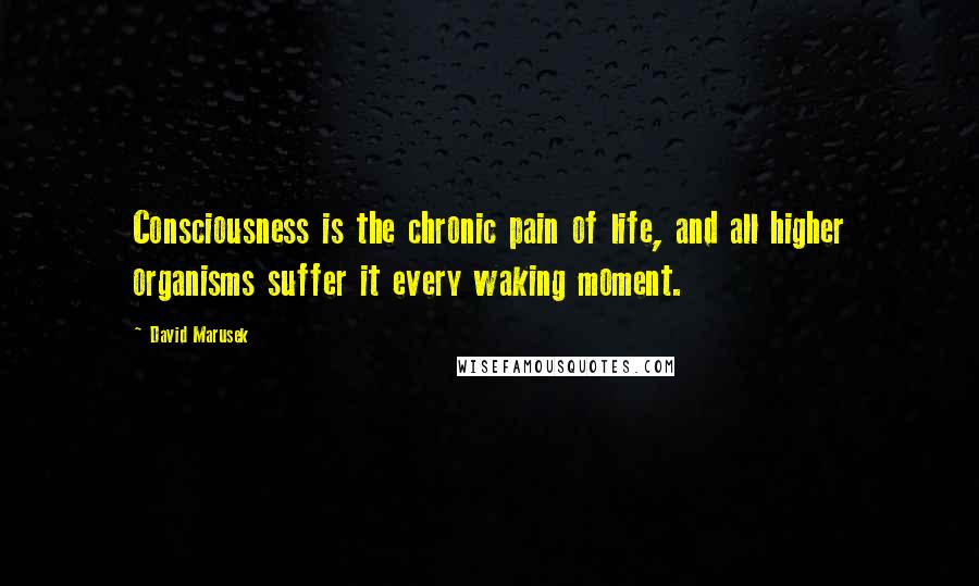 David Marusek Quotes: Consciousness is the chronic pain of life, and all higher organisms suffer it every waking moment.