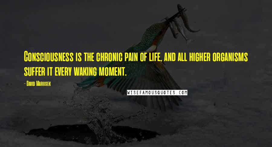 David Marusek Quotes: Consciousness is the chronic pain of life, and all higher organisms suffer it every waking moment.