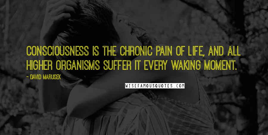 David Marusek Quotes: Consciousness is the chronic pain of life, and all higher organisms suffer it every waking moment.