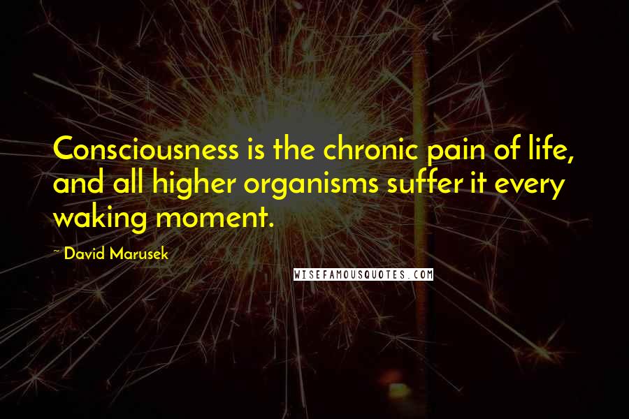 David Marusek Quotes: Consciousness is the chronic pain of life, and all higher organisms suffer it every waking moment.