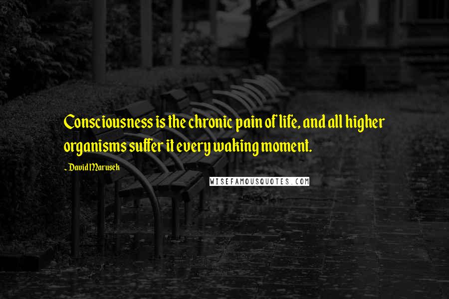 David Marusek Quotes: Consciousness is the chronic pain of life, and all higher organisms suffer it every waking moment.