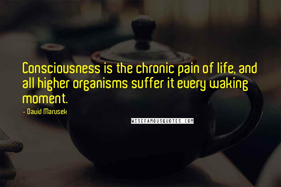 David Marusek Quotes: Consciousness is the chronic pain of life, and all higher organisms suffer it every waking moment.