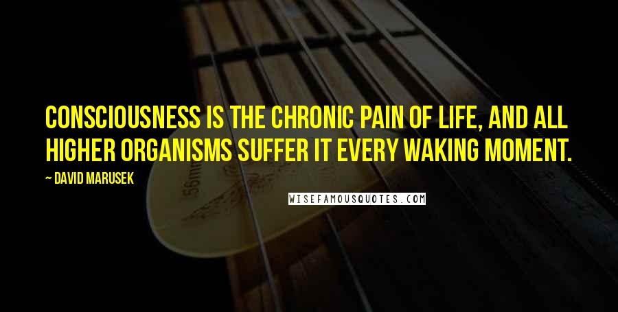 David Marusek Quotes: Consciousness is the chronic pain of life, and all higher organisms suffer it every waking moment.