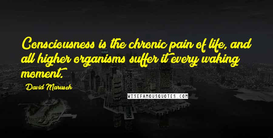 David Marusek Quotes: Consciousness is the chronic pain of life, and all higher organisms suffer it every waking moment.