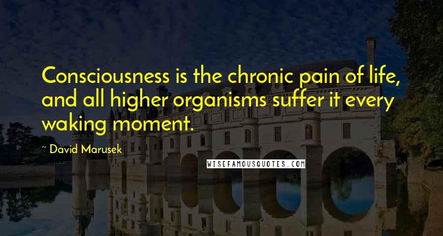 David Marusek Quotes: Consciousness is the chronic pain of life, and all higher organisms suffer it every waking moment.