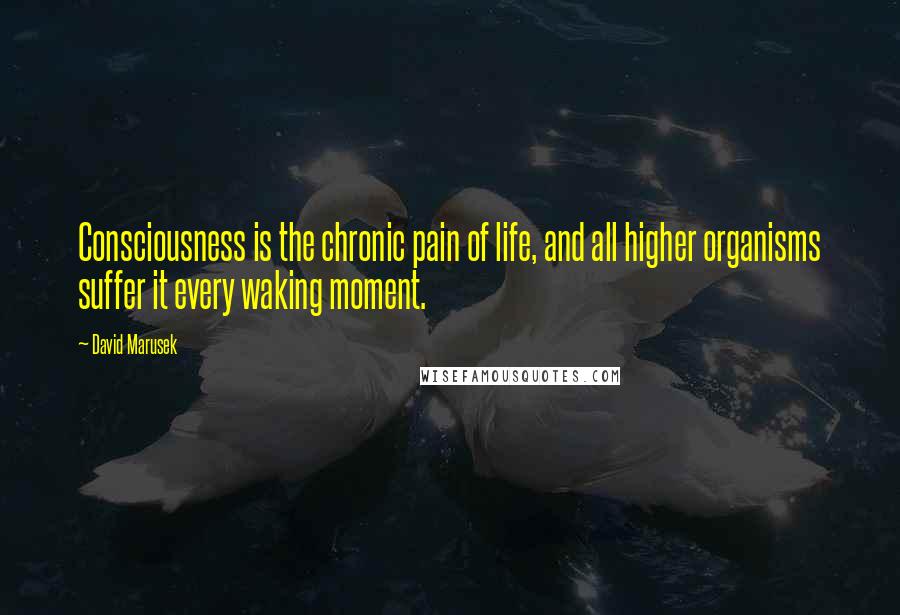 David Marusek Quotes: Consciousness is the chronic pain of life, and all higher organisms suffer it every waking moment.