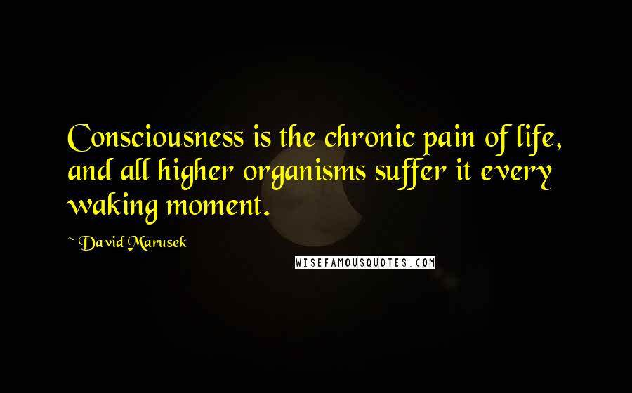 David Marusek Quotes: Consciousness is the chronic pain of life, and all higher organisms suffer it every waking moment.