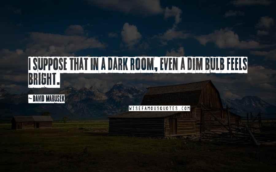 David Marusek Quotes: I suppose that in a dark room, even a dim bulb feels bright.