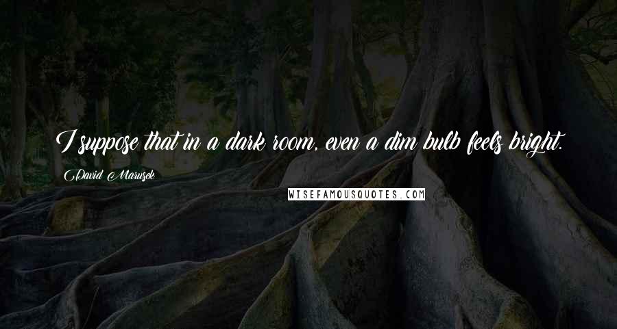 David Marusek Quotes: I suppose that in a dark room, even a dim bulb feels bright.