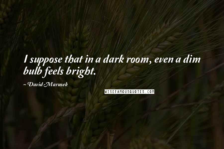 David Marusek Quotes: I suppose that in a dark room, even a dim bulb feels bright.