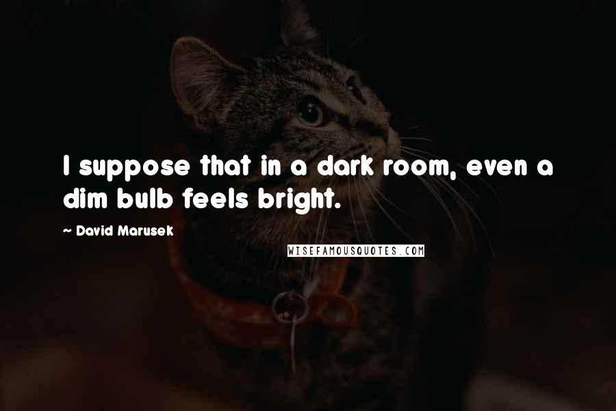 David Marusek Quotes: I suppose that in a dark room, even a dim bulb feels bright.