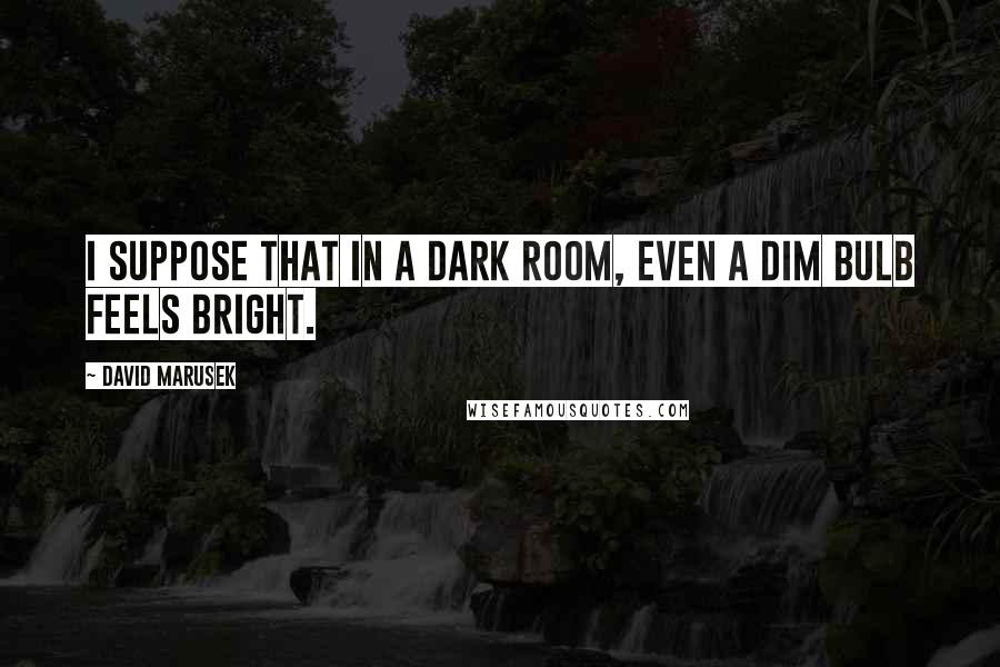 David Marusek Quotes: I suppose that in a dark room, even a dim bulb feels bright.