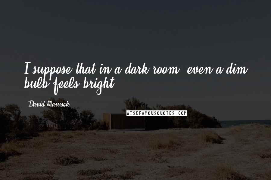 David Marusek Quotes: I suppose that in a dark room, even a dim bulb feels bright.