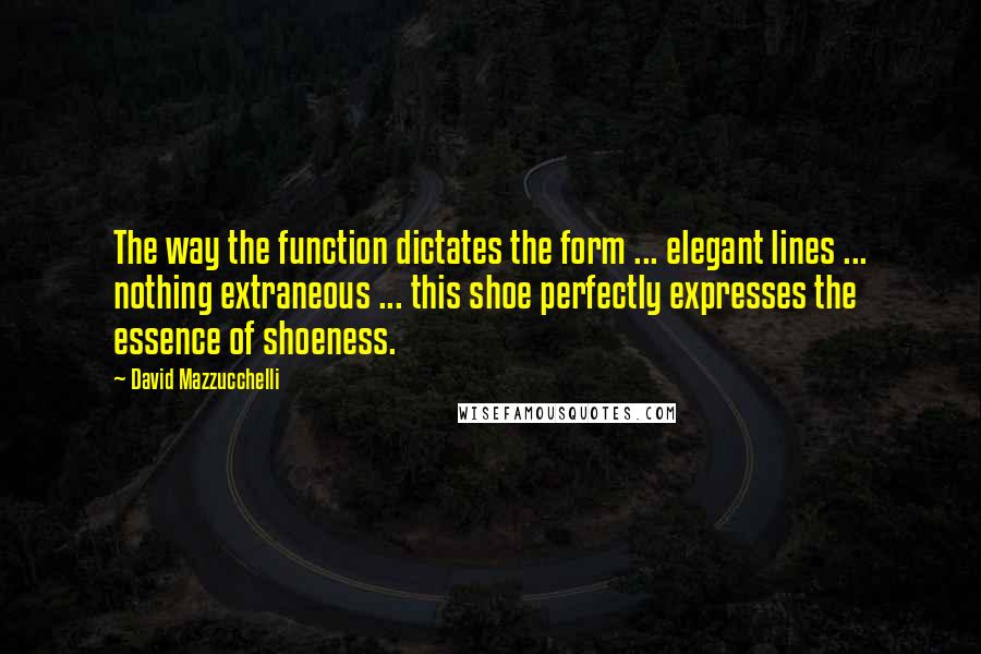 David Mazzucchelli Quotes: The way the function dictates the form ... elegant lines ... nothing extraneous ... this shoe perfectly expresses the essence of shoeness.