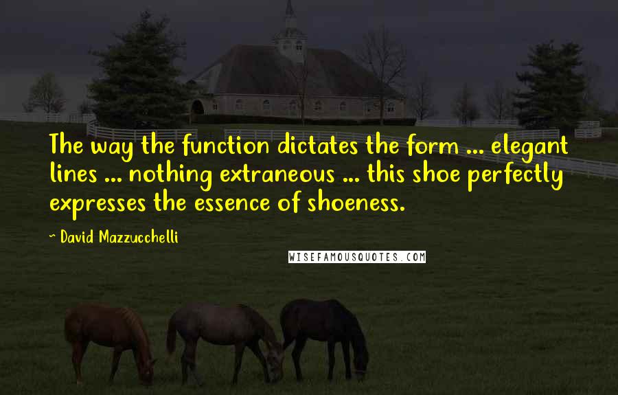David Mazzucchelli Quotes: The way the function dictates the form ... elegant lines ... nothing extraneous ... this shoe perfectly expresses the essence of shoeness.