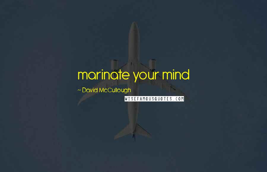 David McCullough Quotes: marinate your mind