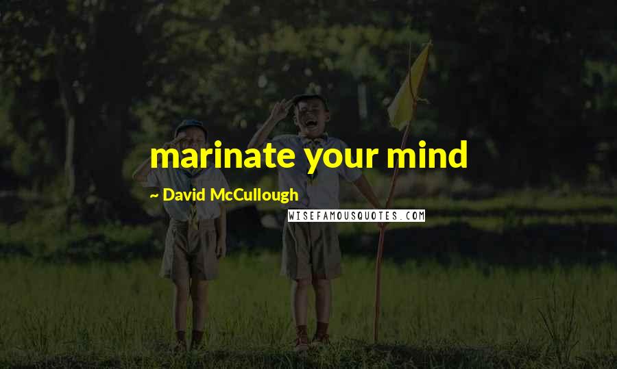 David McCullough Quotes: marinate your mind