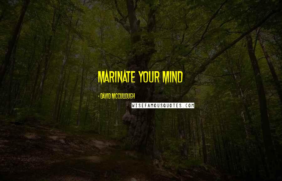 David McCullough Quotes: marinate your mind