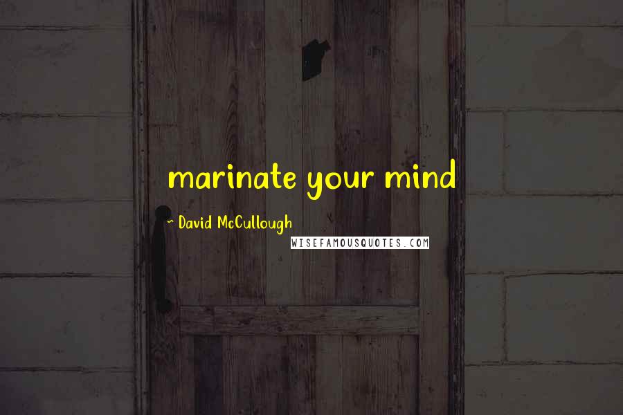 David McCullough Quotes: marinate your mind