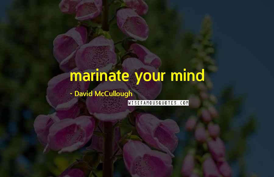 David McCullough Quotes: marinate your mind