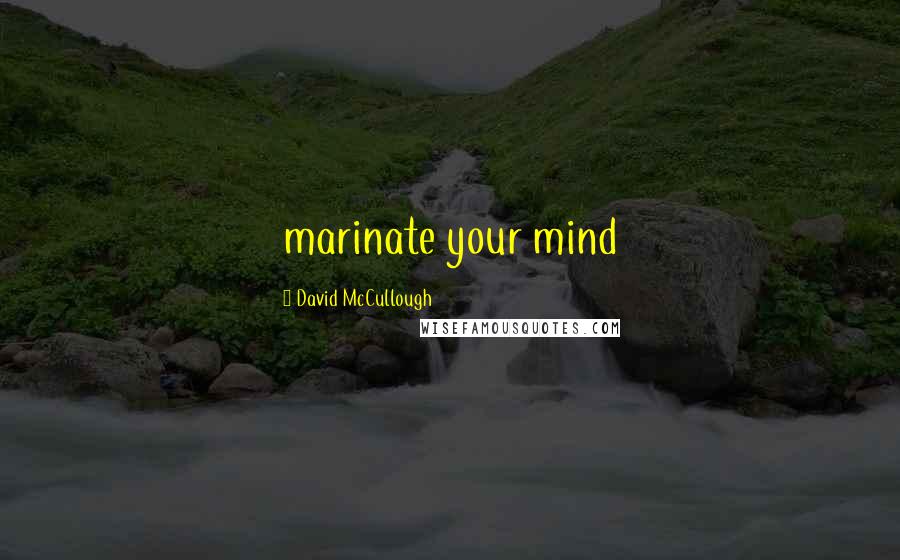 David McCullough Quotes: marinate your mind