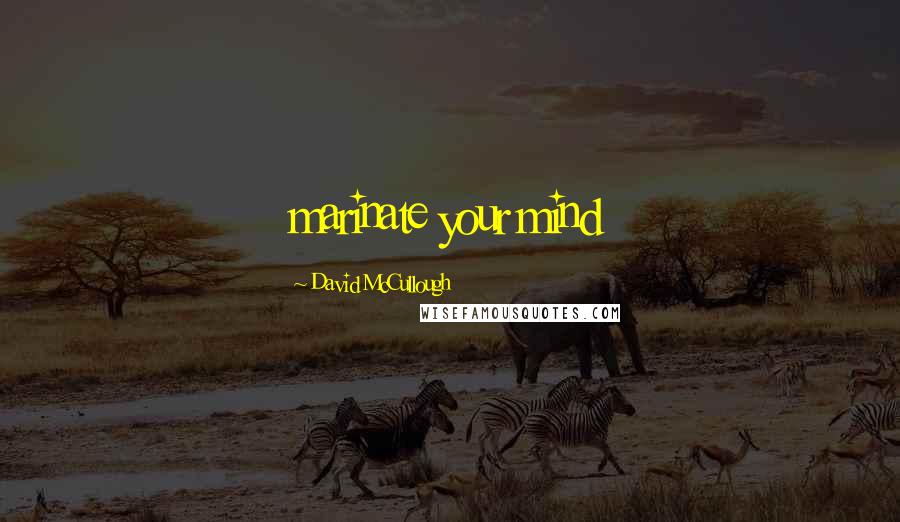 David McCullough Quotes: marinate your mind