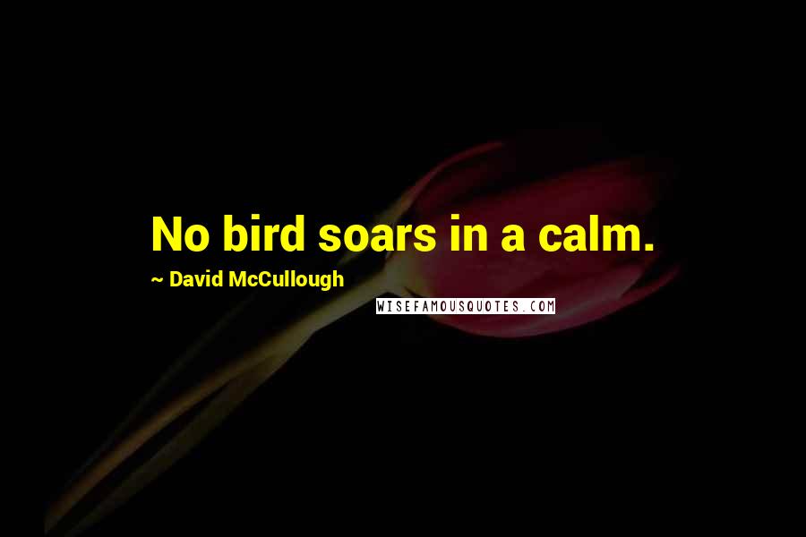 David McCullough Quotes: No bird soars in a calm.