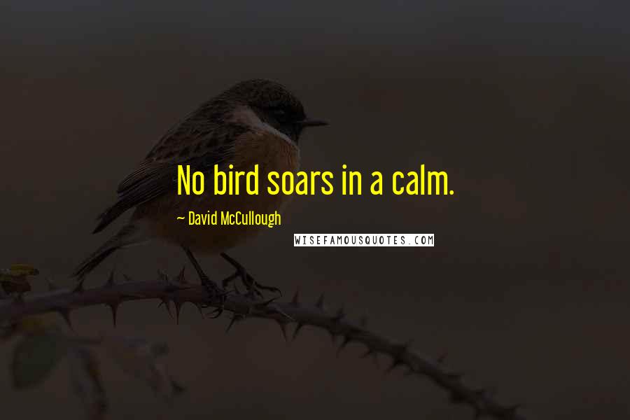 David McCullough Quotes: No bird soars in a calm.