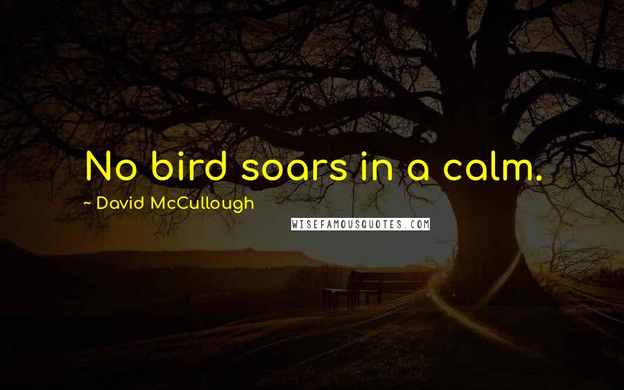 David McCullough Quotes: No bird soars in a calm.