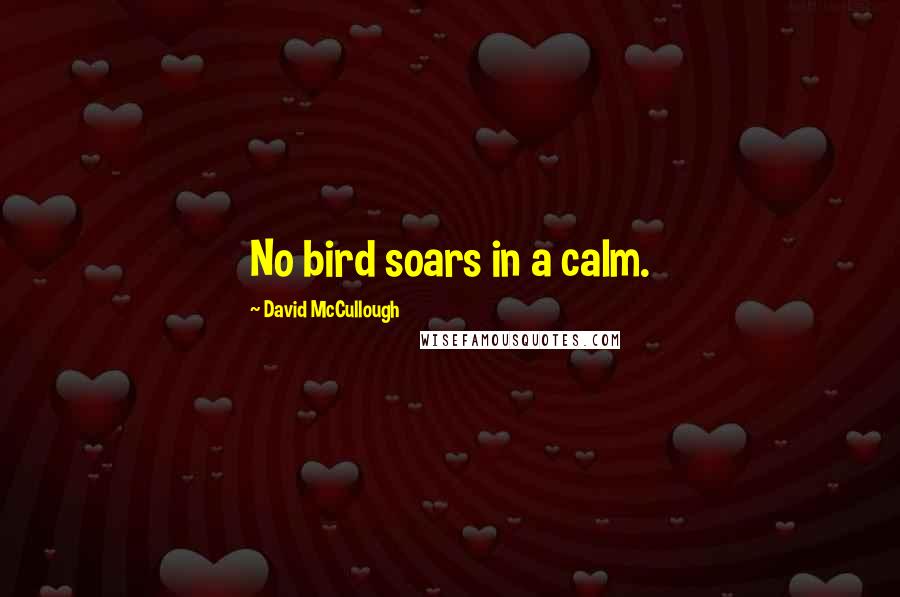 David McCullough Quotes: No bird soars in a calm.