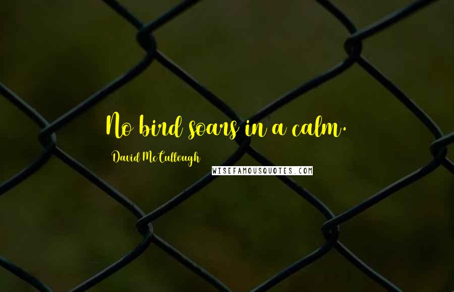 David McCullough Quotes: No bird soars in a calm.