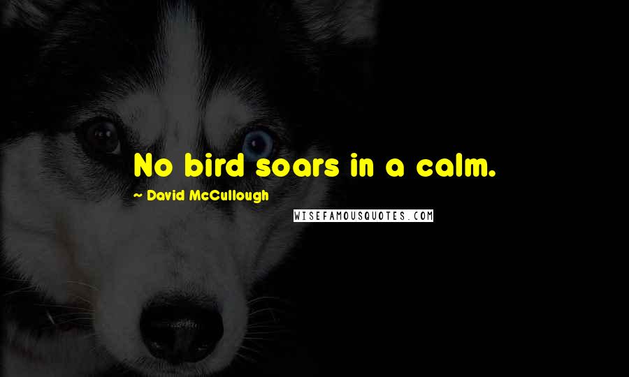 David McCullough Quotes: No bird soars in a calm.