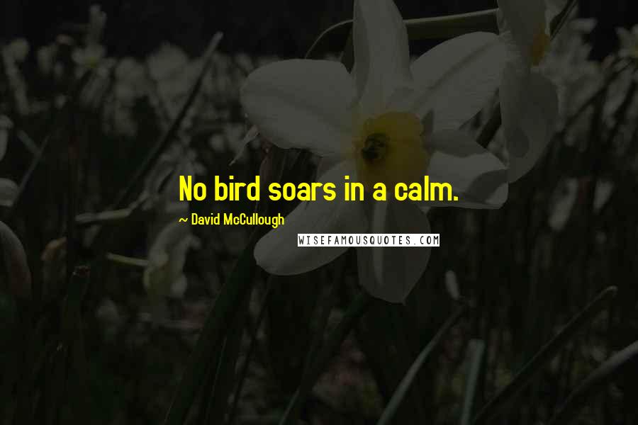 David McCullough Quotes: No bird soars in a calm.