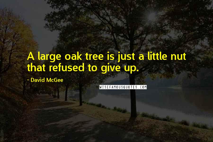 David McGee Quotes: A large oak tree is just a little nut that refused to give up.