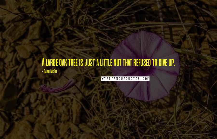 David McGee Quotes: A large oak tree is just a little nut that refused to give up.
