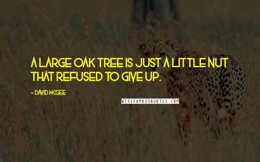 David McGee Quotes: A large oak tree is just a little nut that refused to give up.