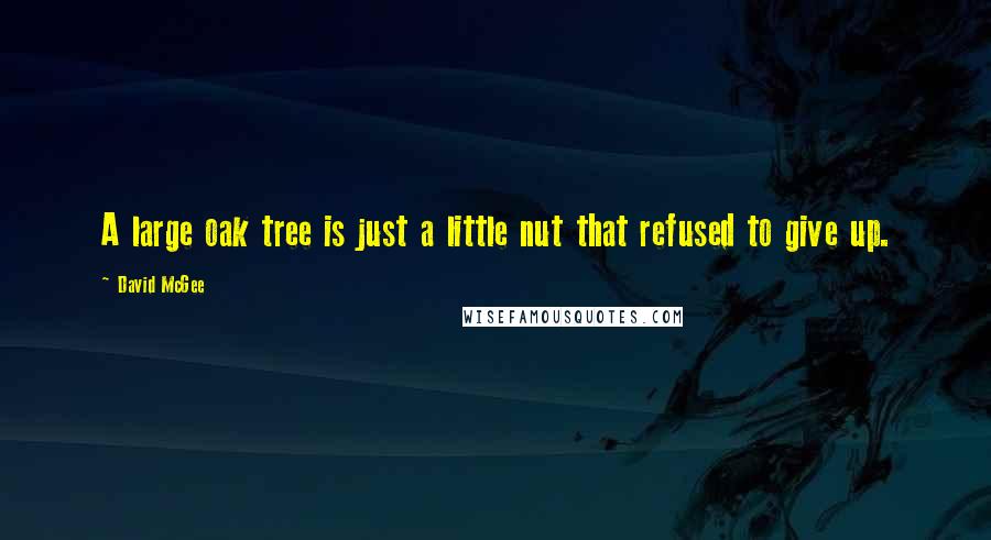 David McGee Quotes: A large oak tree is just a little nut that refused to give up.