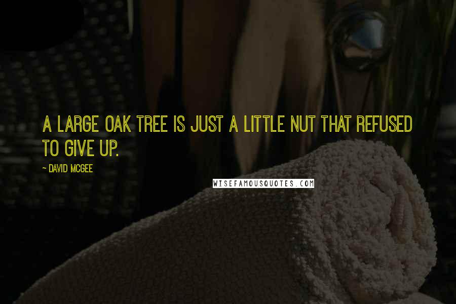 David McGee Quotes: A large oak tree is just a little nut that refused to give up.