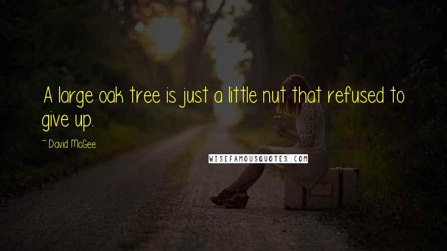 David McGee Quotes: A large oak tree is just a little nut that refused to give up.