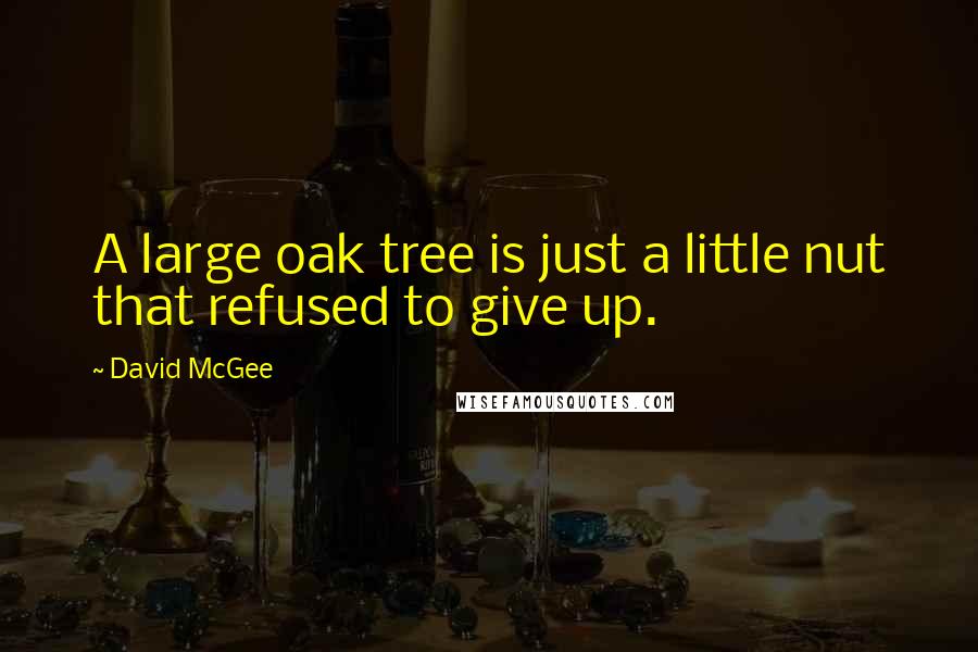 David McGee Quotes: A large oak tree is just a little nut that refused to give up.